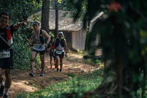 BIB: 
                            <button type="button" onclick="openModal(25272889)" class="btn btn-primary btn-sm float-right btn-popup" data-toggle="modal" data-target=".modal-high-quality">
                        <i class="fas fa-shopping-cart"></i> Add to Cart
                    </button>
                                            <button type="button" onclick="isThisMe(25272889, true)" class="btn btn-success btn-sm float-right btn-popup btn-isme hidden" data-toggle="tooltip" data-placement="bottom" title="นี่คือรูปของคุณใช่ไหม คลิกที่นี่เพื่อเอาเข้าอัลบั้ม">
                        <i class="fas fa-plus"></i> Add to album
                    </button>
                    <button type="button" onclick="isThisMe(25272889, false)" class="btn btn-warning btn-sm float-right btn-popup btn-isnotme hidden">
                        <i class="fas fa-ban"></i> Remove from album
                    </button>